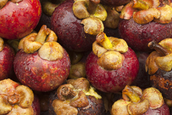 Mannavita mangosztán juice